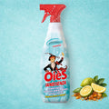 OièS SaniEssenza Acquamarina Luxury - Nettoyant & Désodorisant Parfumé Suisse - Persano Solutions