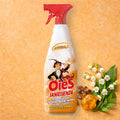 OièS SaniEssenza Ambra - Nettoyant & Désodorisant Parfumé Suisse - Persano Solutions
